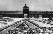 belgium-holocaust belgium-holocaust