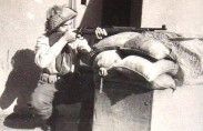 morris-israel-hayom2